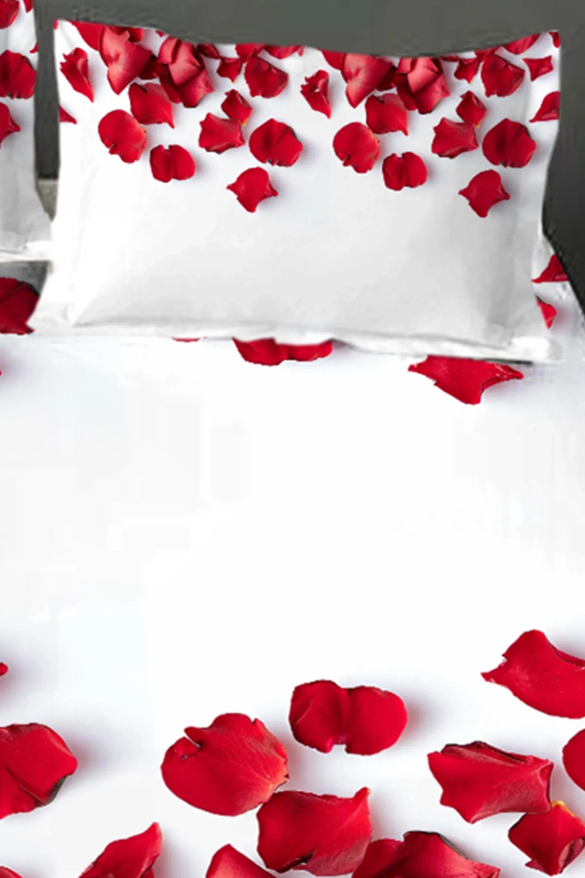 %100 Pamuk Lastikli Çarşaf Özel Tasarım 5D Dijital 60 Tell Feathers